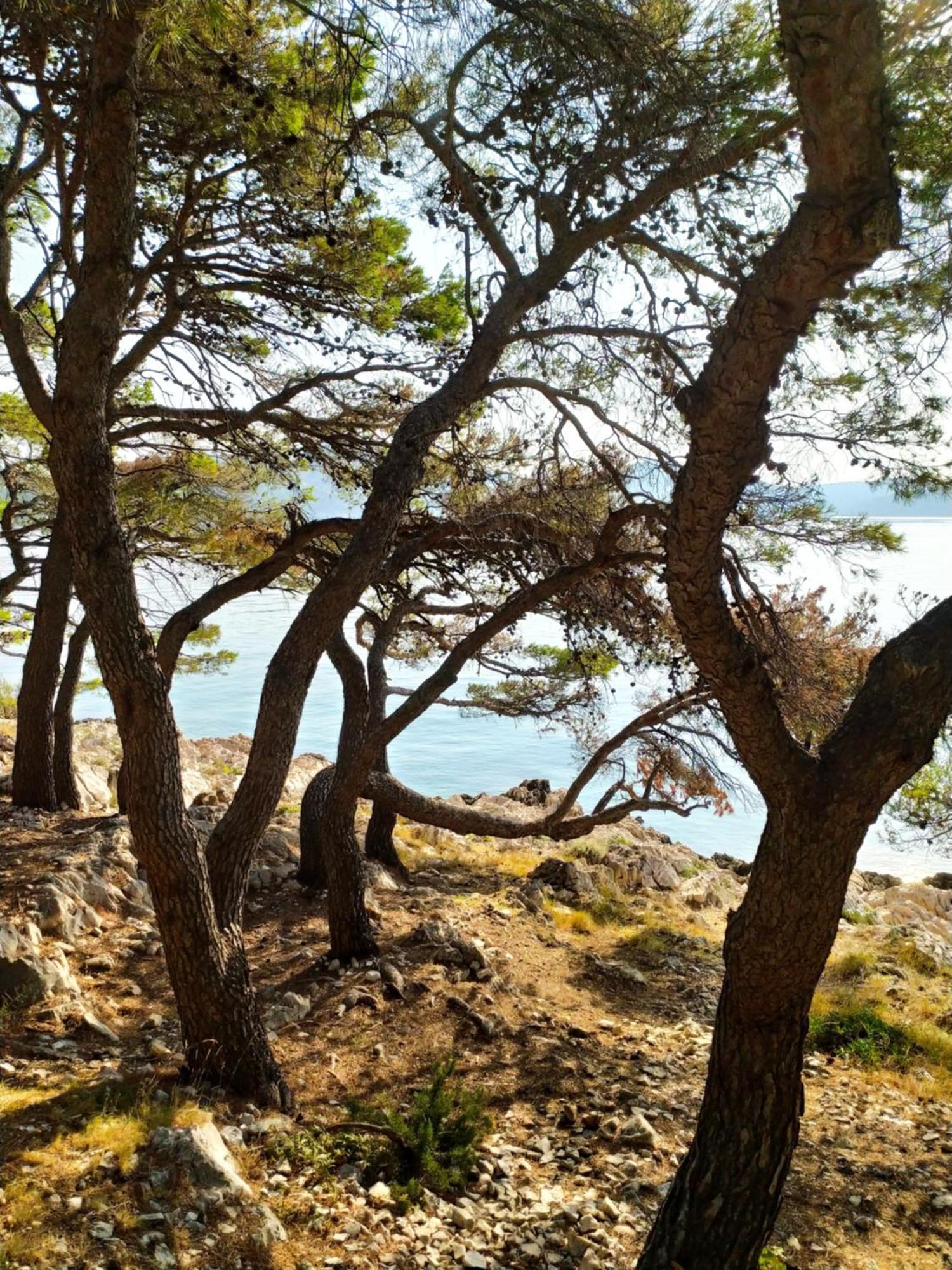 Villa Ines イェゼラ エクステリア 写真